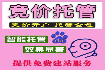 百度广告推广案例：数据分析与优化